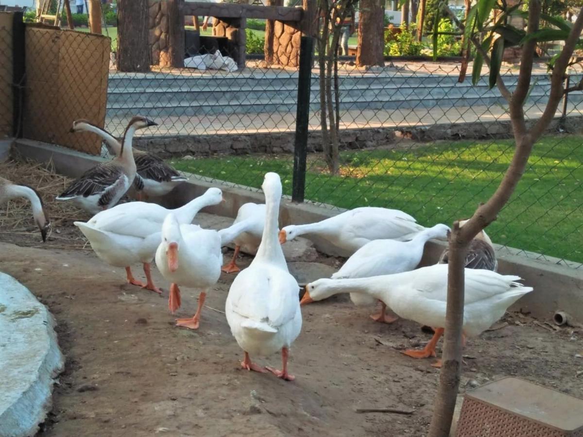 Royal Club & Resort Ahmedabad Bagian luar foto